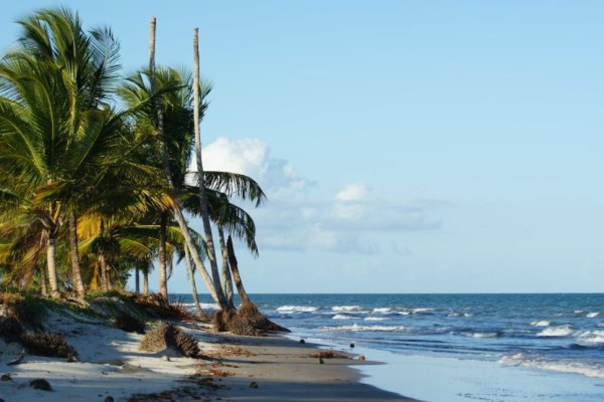 4fe68699ec3d48b09b75bcae9b9a39a0