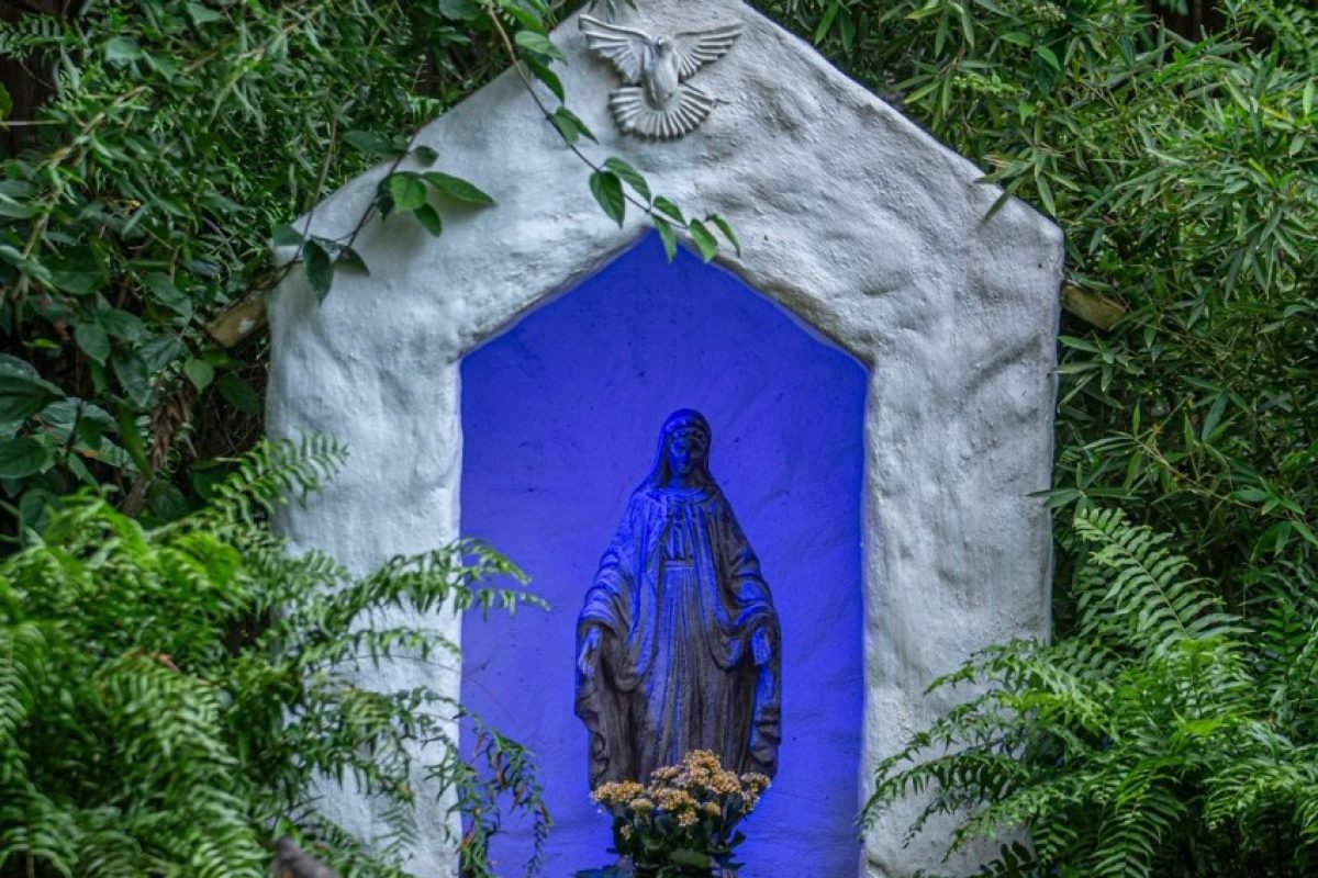 WhatsApp Image 2025-08-09 at 08.24.28 (2)