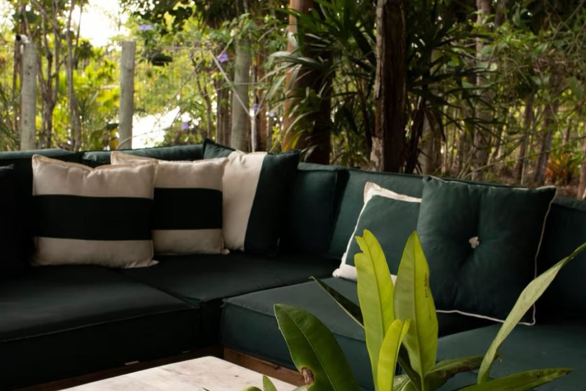 WhatsApp Image 2025-08-11 at 00.55.03